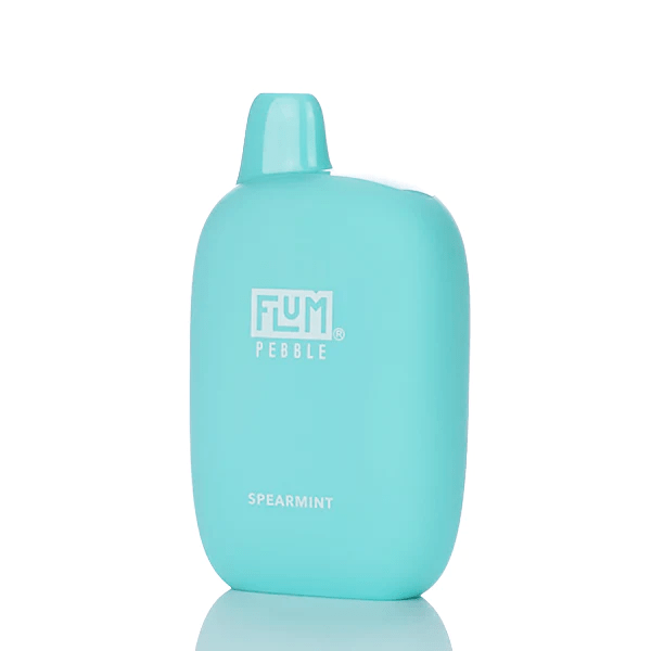 Flum Pebble Disposable Vape (5%, 6000 Puffs)