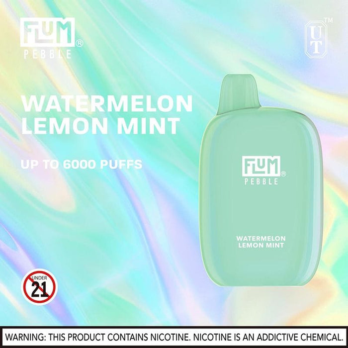 Flum Pebble Disposable Vape (5%, 6000 Puffs)